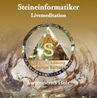 LiveMedi Versteinertes Holz LiveMedi Versteinertes Holz